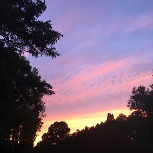 Meet your Posher, Anita